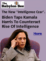 In an effort to establish government oversight of the growing role of artificial intelligence in our society, President Biden has appointed Vice President Kamala Harris as ''A.I. Czar.'' The President expressed hope that Harris's track record of slowing the spread of intelligence will be of use. ''Kamala knows all about artificial intelligence'', the President said.